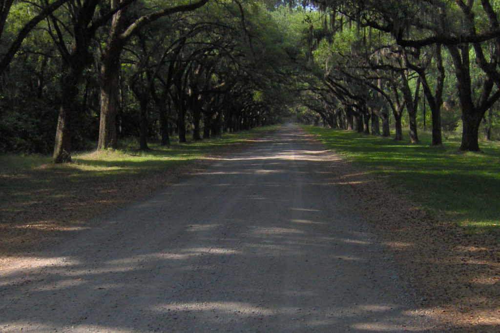 Oak Avenue